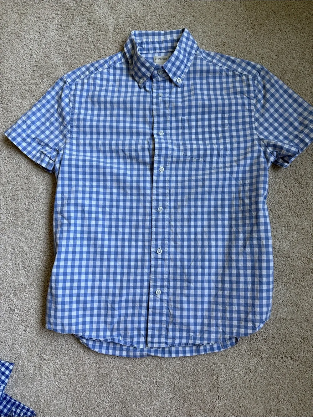 Crewcuts Boys 14 Blue Gingham Short-Sleeve Button-Down Shirt